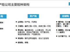 中国大地保险简介主要险种架构产品介绍20页.pptx