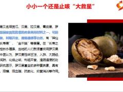 每日健康罗汉果蛋白质是梨的44倍清肺化浓痰9页.pptx