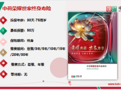 中荷荣耀世家终身寿险保险责任特色案例投核保规则34页.pptx