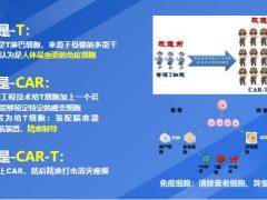 健康cart产说会主讲太平洋人寿美好生活年末积分换礼89页.pptx