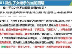 理解法商财富传承及解决之道人寿保险与财富传承23页.pptx
