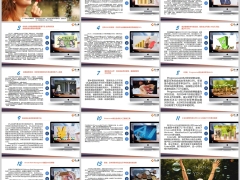 保险周刊3月18日至3月24日15页.pptx