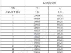 中荷金如意C款两全保险条款费率.zip