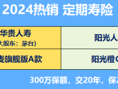 2024热销定期寿险华贵旗舰版A款阳光橙C同方臻爱2023对比表.xlsx 