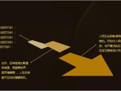 知名主持人自杀身亡17页.pptx