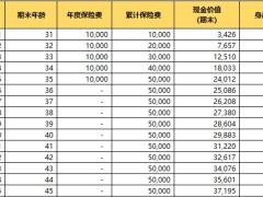 海港人寿北极星领航版养老年金保险利益演示.xlsx 