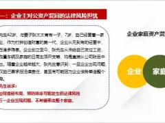 保险金信托企业与家庭资产混同表现解析波及家庭财务风险23页.pptx