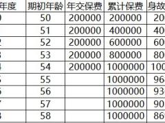 国寿颐养人生养老年金保险计划书.xlsx