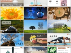 2024保险团队迎新早会流程20页.pptx