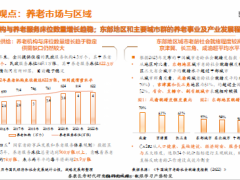 2023年形势分析及2024年展望养老篇13页.pdf