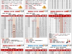 泰康惠赢智选605计划手卡速查表20页.pptx 