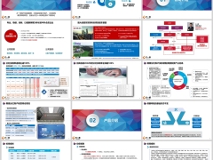 招商信诺瑞享传世终身寿险分红型公司介绍产品介绍案例演示36页.pptx 