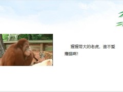 每日快乐早会23年9月4日使用12页.pptx
