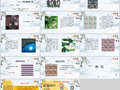 每日快乐早会24年7月30日使用12页.pptx 