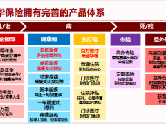 新华人寿安享百岁人生荣耀守护终身养老解决方案29页.pptx