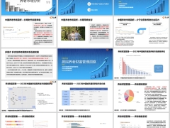 中国养老市场分析养老财富管理产品迭代更新解读33页.pptx 