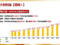 泰康人寿惠赢年金计划固收销售逻辑解析6万5年交案例13页.pptx