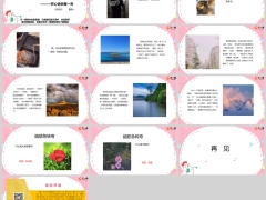 每日快乐早会24年5月20日使用13页.pptx 