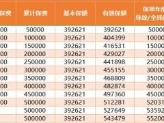 珠江人寿增寿年年终身寿险利益演示表.xlsx