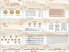 君康金生金世臻爱版终身寿险开发背景产品形态规则案例演示27页.pptx