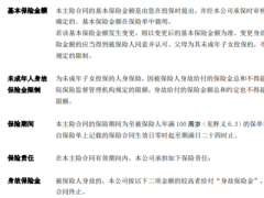 大家恒享两全保险条款费率.zip