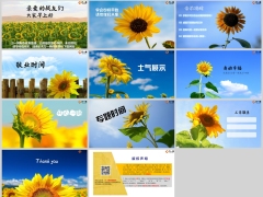 夏天蓝天向日葵早会流程模板11页.pptx 