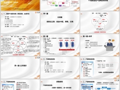 太平洋稳赢金生复刻PVG脚本训练产品明白纸训练19页.pptx 