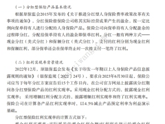 关于分红型保险产品红利实现率的几点思考6页.pdf 