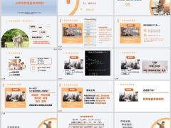 养老规划三个期完整养老规划案例分享课程总结21页.pptx 
