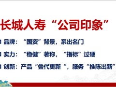 长城山海关永乐增额终身寿险绿通案例解决问题服务介绍30页.pptx