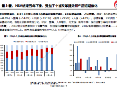 2024年保险行业分析与预测路远行则将至31页.pdf