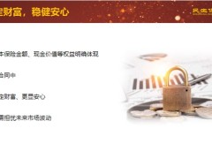 民生人寿传世金樽庆享版终身寿险分红型特色产品案例篇27页.pptx