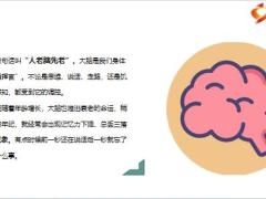 每日健康老年痴呆是中国老年人健康四大杀手四大补脑菜换着吃预防老年痴呆14页.pptx