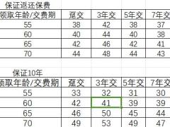 鼎诚人寿诚爱一生养老年金保险单主险单机计划书.xlsx
