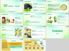 每日健康蔬菜中圆白菜血管小帮手抗老护肠胃9页.pptx 