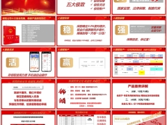 瑞众人寿传家宝臻享版五大极致案例讲解演示23页.pptx 