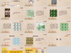 每日快乐早会24年7月29日使用12页.pptx 