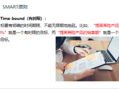 保险营销员制定合理的业绩目标从SMART原则到PDCA循环19页.pptx