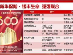 新华人寿荣耀鑫享银丰助力版增值服务案例29页.pptx