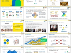 2024中英公司简介基因传承经营能力产品体系17页.pptx
