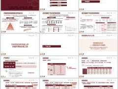 泰康传世有约2024终身寿险市场背景产品介绍服务资源销售思路48页.pptx 