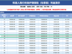 和谐人我行终身护理保险怡享版利益演示.xlsm