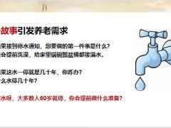 太平岁岁鑫享理念导入案例演示16页.pptx