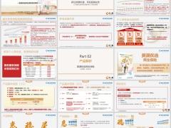 新华人寿美满优选两全保险背景理念产品解析21页.pptx 