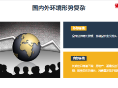国联人寿鑫运年年终身寿险开发背景产品介绍案例分析36页.pptx