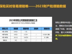 理赔数据下的保险规划泛华行业理赔数据分析年报保险规划24页.pptx