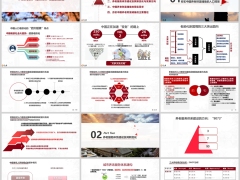 中国老龄化特征及其机遇与挑战养老需求主要路径32页.pptx 