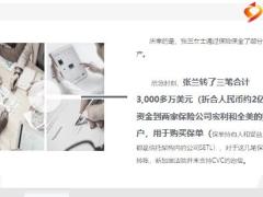 张兰家族信托被击穿２亿保险得以保全12页.pptx
