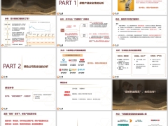 2024新环境下保险配置价值解读保险公司安全性分析38页.pptx 