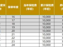大家养大富之家荣华养老年金保险产品计划书.xlsm